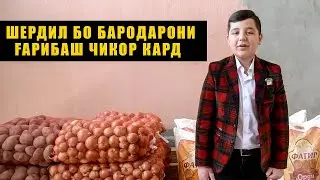 Шердил бо Бародарони Гарибаш чикор кард?