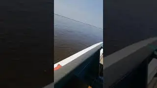 13 августа 2019 г.