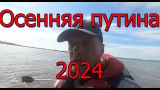 Осенняя путина 2024. Поход за грибами 🍄🐬