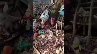 Have you ever seen a FAIRY TREE? Its 