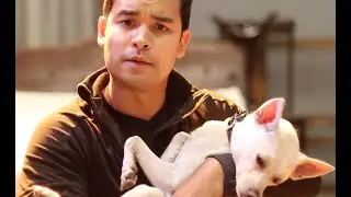 Dogs and Cats Steal Shakespeare Roles...Actors Furious!