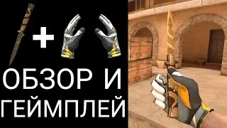 Stiletto Viper & Gloves Champion | ОБЗОР И ГЕЙМПЛЕЙ