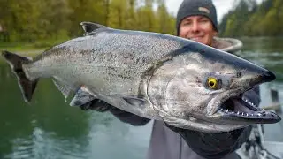 Most EXPENSIVE Salmon in WORLD! Catch Clean Cook (Chinook)