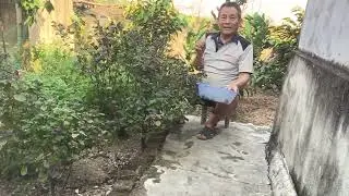 Một số loại rau để làm món rồi tiết ngon