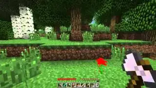 Proyecto 9 Creando mi  Jardin