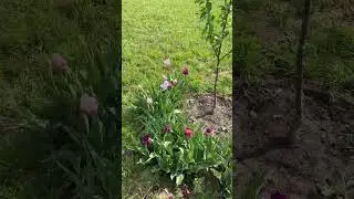 Красота 😍
