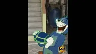 Tom and Jerry / green screen tom / Tom funny / cartoon video
