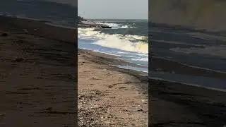 Море даёт вдохновение.Море рождает жизнь!