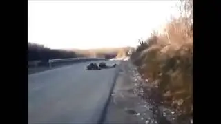ДНР спешит на помощь! Чип и Дейл!  ржачь