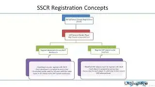 SAP BASIS COURSE: Lec 41. Development Transport Request.