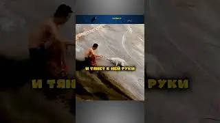 Сорвался со скалы🤯