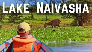 Lake Naivasha Kenya | Boat Safari | Black Rhinos & Crescent Island