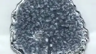 Добавление раствора хлорида аммония к амальгаме натрия делает так называемую аммиачную амальгаму