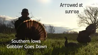 Big Iowa Tom at Sunrise