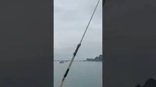 বাংলাদেশের টাঙ্গুয়ার হাওর বনাম ভিয়েতনামের হ্যা লং বে