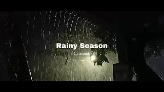 rainy season cinematic video // mobile videography // 30 second status video #rain #season #barish