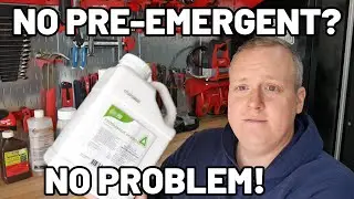 What To Do When You Miss A Pre-Emergent Application