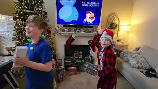 Christmas Reveal 2023