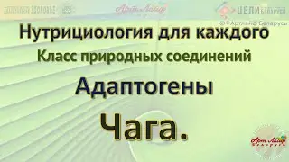 Адаптогены  Чага @Артлайф Artlife Беларусь