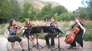 Air on the G String - Strings of Elegance #music