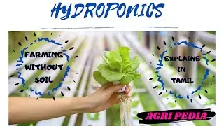 HYDROPONICS IN TAMIL | SOIL LESS AGRICULTURE | AGRI PEDIA |