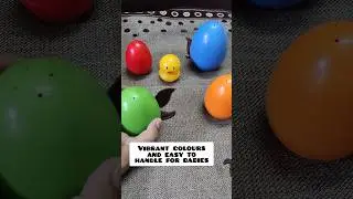 Little's Nesting Egg Toy 🐣 