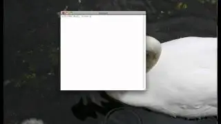 How to create csv file for Hootsuite bulk scheduler using a Mac.mov