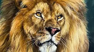 How to Paint a Lion in Acrylics
