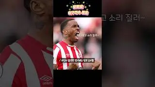 토토충 축구선수 모음