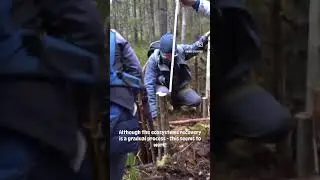 Joining forces to restore peatlands! #restorationecology #peatlands@nwpeatproject9339