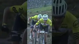 Wagon trail #untamed #absacapeepic #epic2024