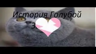 История Голубой Звезды. 1 серия.