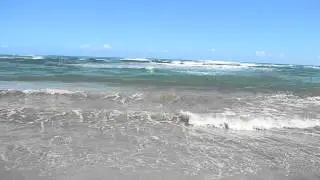 DSC 0716