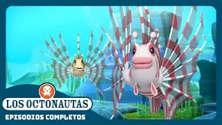 Los Octonautas - 🦁 El pez león 🐠 | Temporada 2 | Episodios Completos