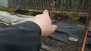 Укрыл виноград на зиму. Обработал от мышей.