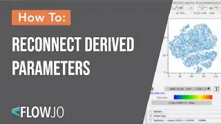 Reconnect Derived Parameters