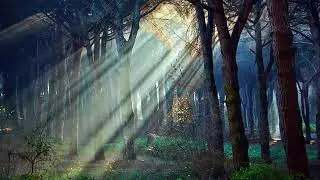 soothing music for your soul