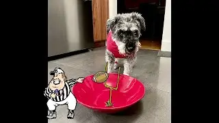SuperBowl Snacking Replay