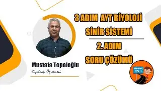 3 ADIM AYT BİYOLOJİ : SİNİR SİSTEMİ 2. ADIM TESTİ SORU ÇÖZÜMLERİ