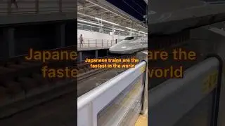 Tips for tourists on how to save your nerves in Japan 🇯🇵 
