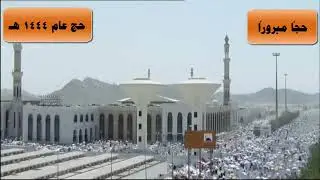 حجاج بيت الله الحرام يقفون في صعيد عرفة 9 ذو الحجة حج عام 1444 هـ