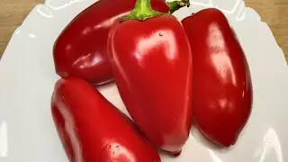 Жареный СЛАДКИЙ ПЕРЕЦ 