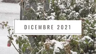 Propositi per il nuovo anno, progetti, speranze... e neve - #vitadautrice Dicembre 2021