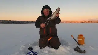 Рыбалка в Карелии в январе. За налимом.