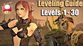 FFXIV: Level 1 - 30 in less than 4 hours (Comprehensive Guide)