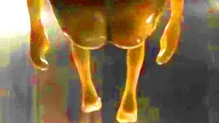 America's Ass