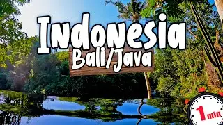 Indonesia (Bali/Java) en 1 minuto ⏱️