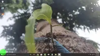 Windows 10 Home : How to Start or Stop Windows Mobile Hotspot Service