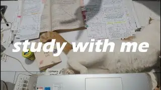 Study With Me Live  / Pomodoro 50/10 / Crackling Fire Sounds 93