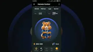 day 13 hamster kombat Combo Card How to find combo card hamster Kombat